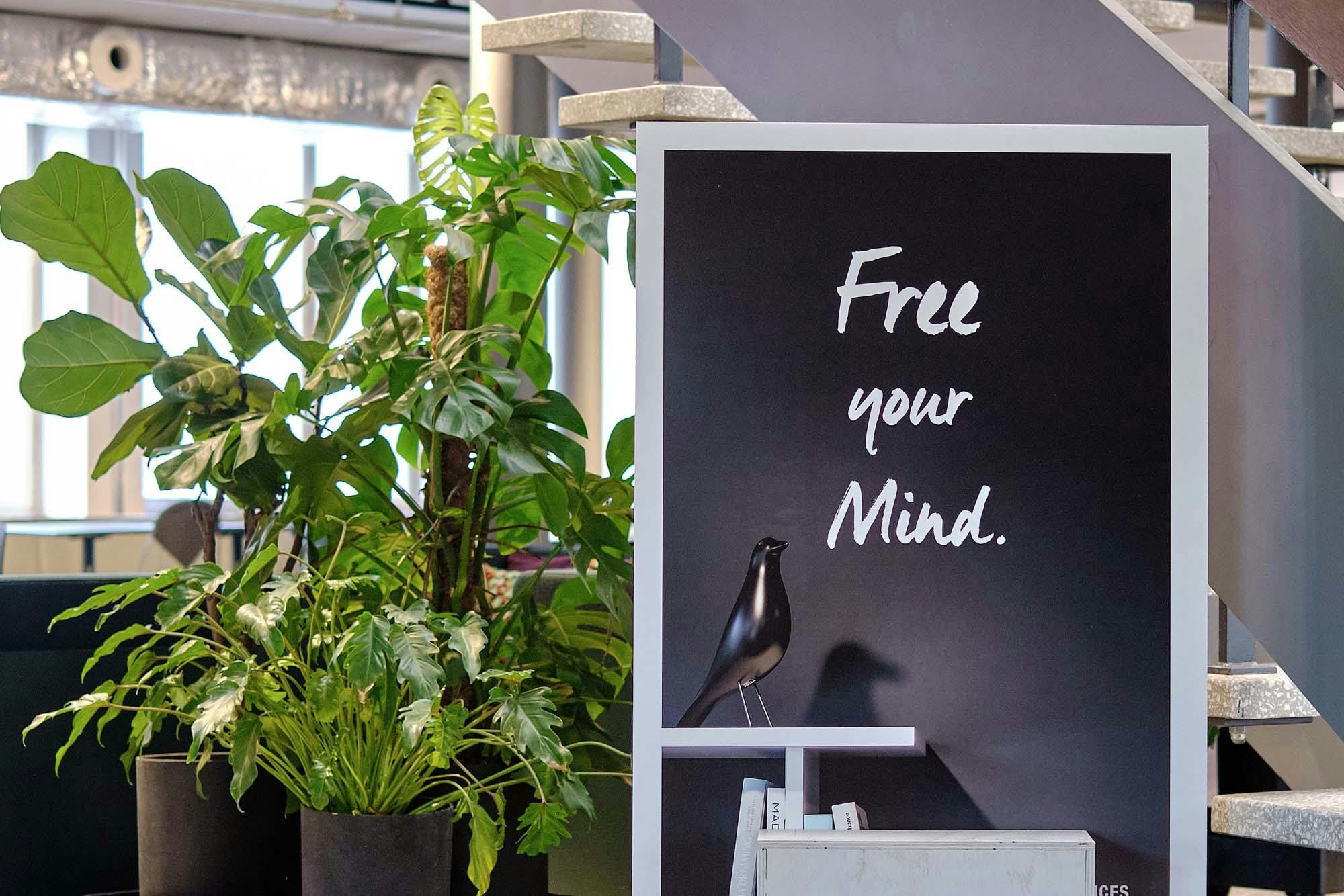 Design Offices free your mind